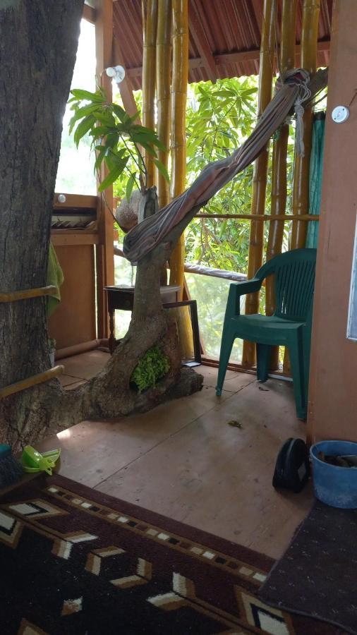 Treehouse Above The Beach Порт-Антонио Экстерьер фото