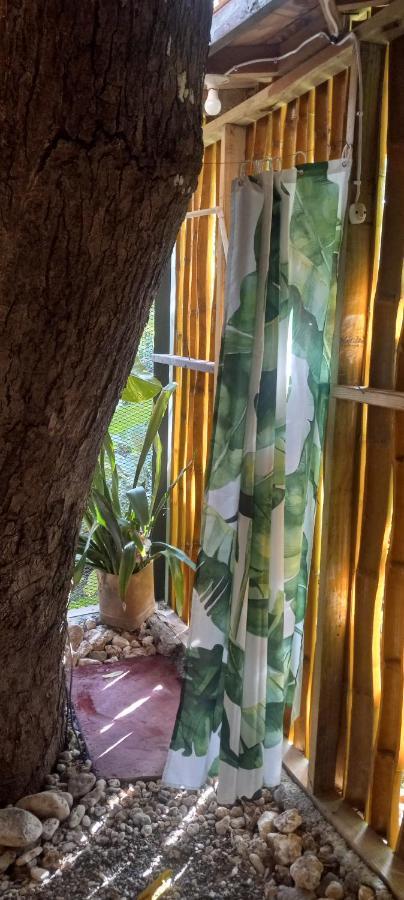 Treehouse Above The Beach Порт-Антонио Экстерьер фото