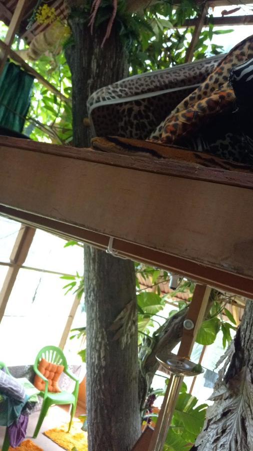 Treehouse Above The Beach Порт-Антонио Экстерьер фото