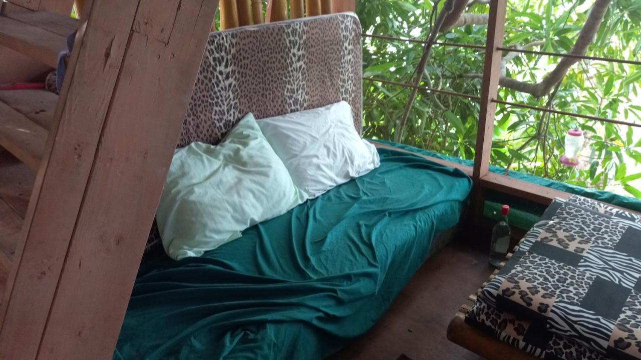 Treehouse Above The Beach Порт-Антонио Экстерьер фото