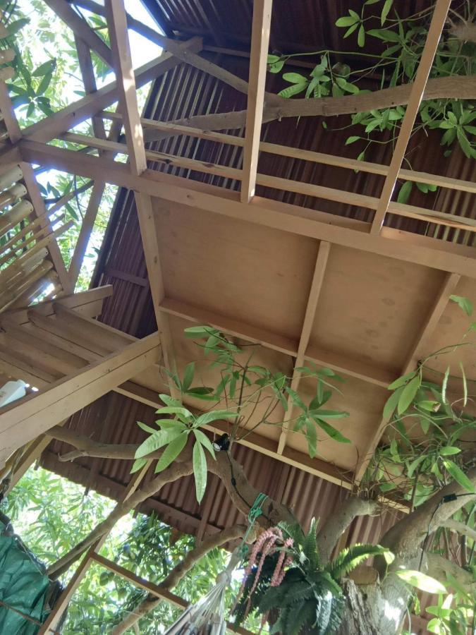 Treehouse Above The Beach Порт-Антонио Экстерьер фото